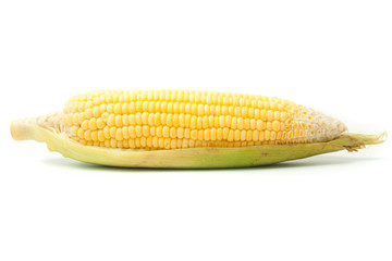 Fresh Raw corn