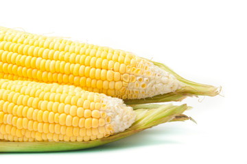 Fresh Raw corn
