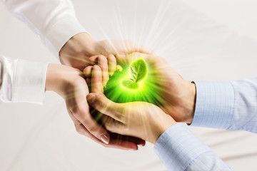 Sprout in hands