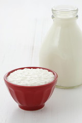 Delicious healthy milk and cottage cheese