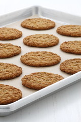 Fresh baked oatmeal cookies