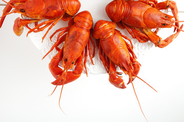 Crawfish