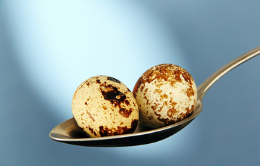 two quail egg in the spoon.