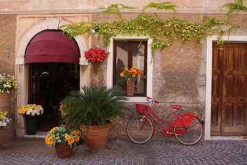 Fototapeta na wymiar kwiaciarnia z czerwonym rowerze
