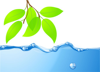 Naklejka na ściany i meble Clear blue water flow and fresh green leaves. Vector.