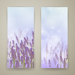 Vector Illustration of Two Lavender Banners