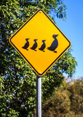 Cute Duck and Duckling road sign