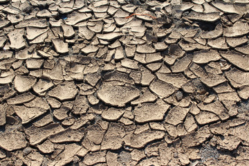 Cracked Ground