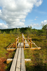 Kemeri National park.