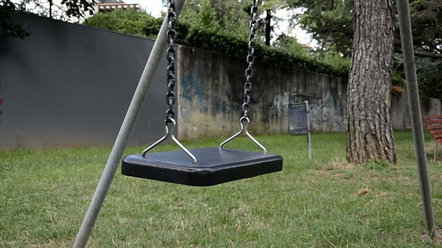 55593159
