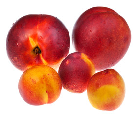 red and yellow ripe nectarines