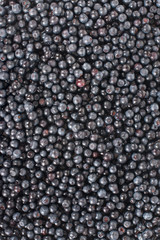 Blueberry backgrond