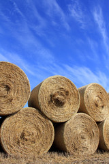 Round Hay Bales against Beautiful Sky