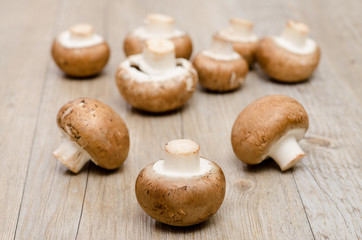 Braune Champignons
