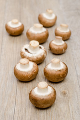 Braune Champignons im Hochformat