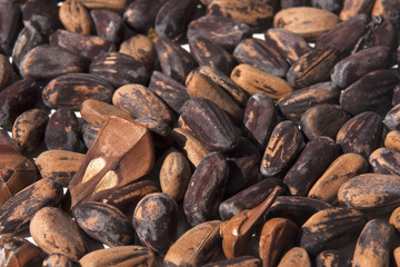 Pinoli