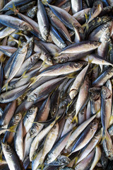 Obraz premium Fresh small fish background on the market