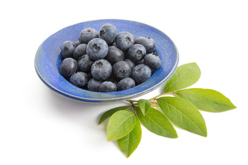 Frische Blaubeeren als Nachspeise