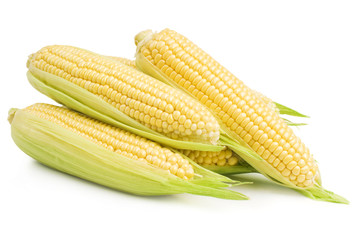 Corn