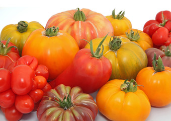 Fototapeta na wymiar tomates variétés anciennes