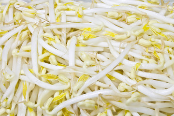 Bean sprouts