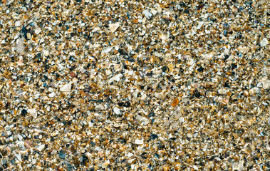 Stone, seashells