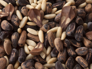 Frutta secca i pinoli