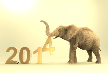 2014 con elefante