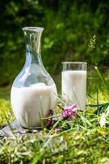 Milk in a jug and a glass