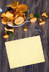 Chanterelles in sieve