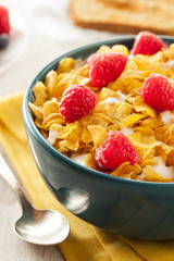 Healthy Cornflake Cereal