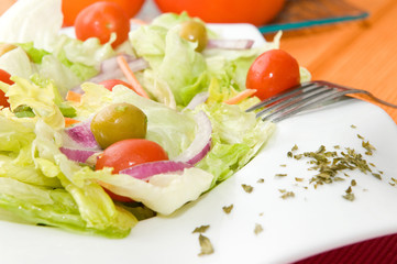 fresh vegetables salad in white plate