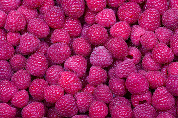 Raspberry fruit background