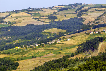 Oltrepo Pavese landscape color image
