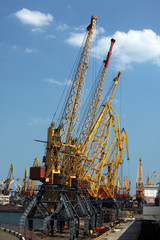 Fototapeta na wymiar cargo seaport cranes, Odessa
