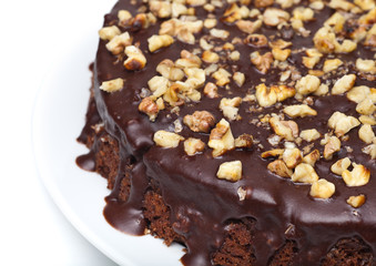 chocolate cake with walnuts and icing