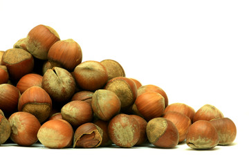 A lot of hazel nuts over white