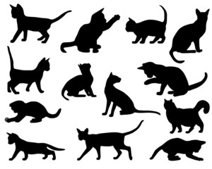 Silhouettes of cats
