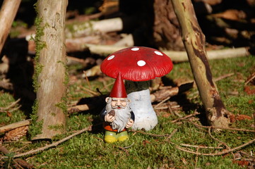 kleiner Gartenzwerg und Fliegenpilz