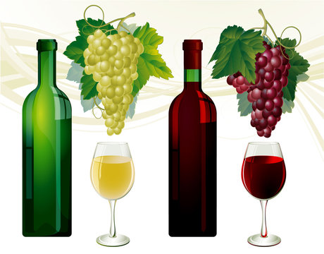 Wine glasses white and red wine, grapes on white. Vector