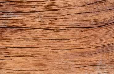 Fake of cracked wood Stump