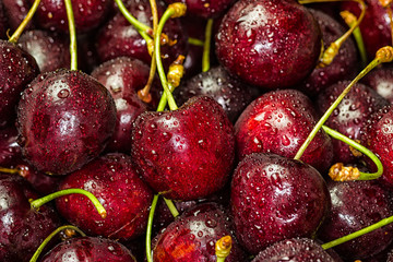 Fresh Delicious Cherries