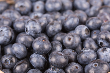 blueberries background