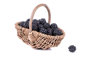 Fototapeta na wymiar blackberries in a basket