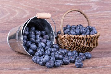 blueberries in a bucket
