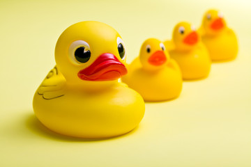yellow bath ducks