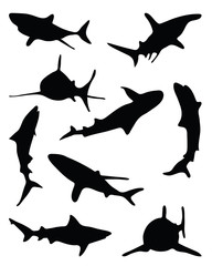 Obraz premium Sharks silhouette-vector illustration
