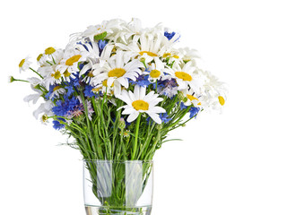 beautiful bouquet of daisies in vase