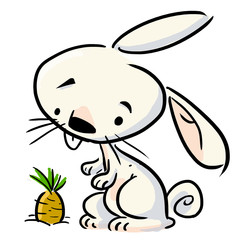 conejo