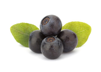 Fresh blueberries isolated on white background